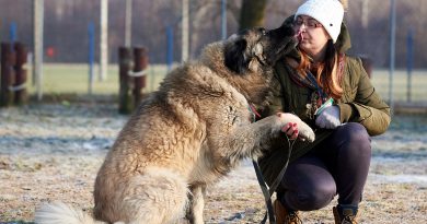 STRONA 6 NA ZDJECIU NIUNIO ZDJECIE ŁUKASZ JARKOWSKI 390x205 - Porozmawiajmy o adopcji