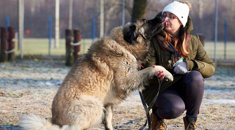 STRONA 6 NA ZDJECIU NIUNIO ZDJECIE ŁUKASZ JARKOWSKI 800x445 - Porozmawiajmy o adopcji