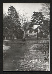 mamow 800x600 212x300 - MAMOW wzywa mieszkańc&oacute;w Włoch